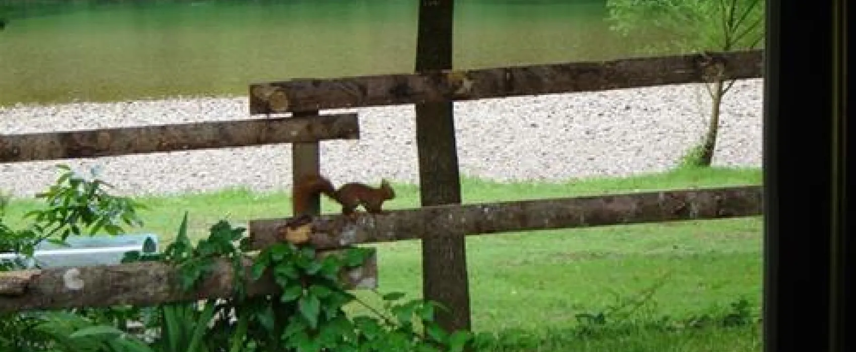 Camping Saint-pal  & son Parc Longue Legue