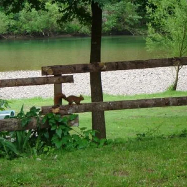 Camping Saint-pal  & son Parc Longue Legue