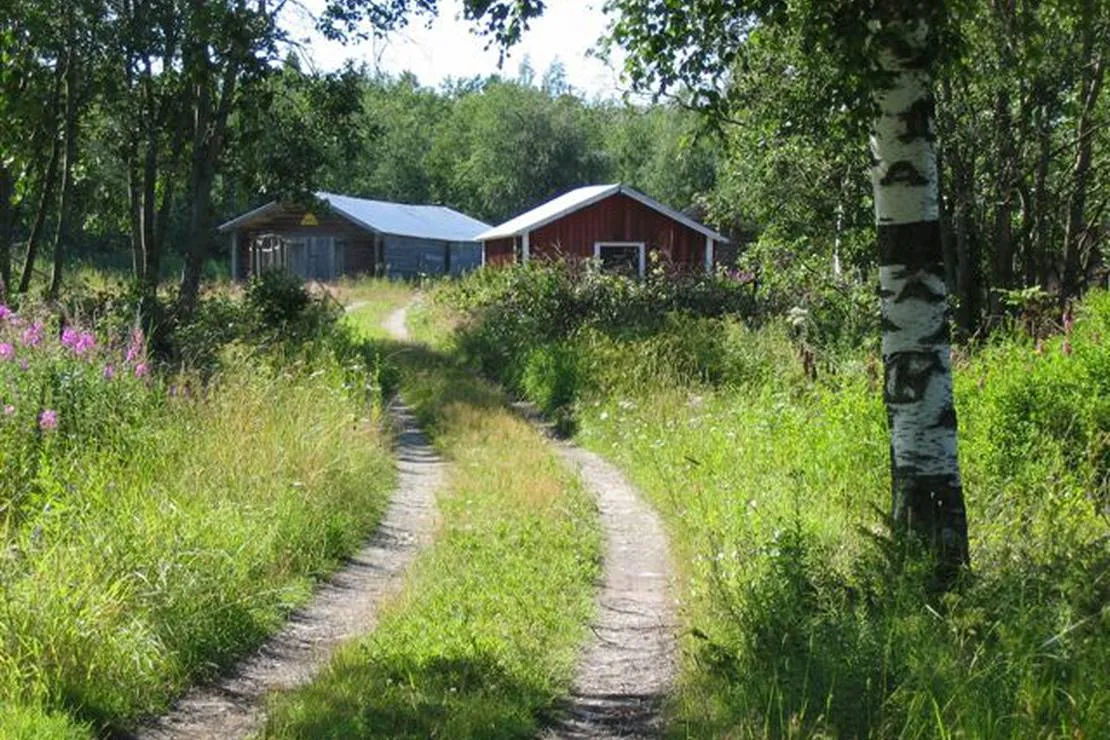 camping-harrstrom-uf-harrstrom-eoj3k