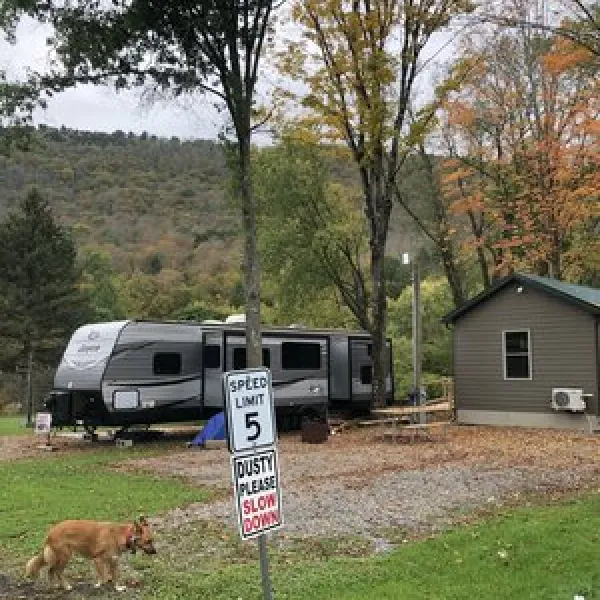 stony-fork-creek-campground-wellsboro-r9n85
