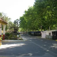 camping-caravaning-marbella-playa-marbella-bz2jj