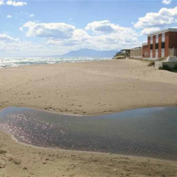 camping-caravaning-marbella-playa-marbella-zrtuj