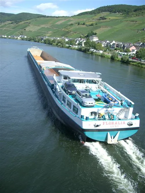 campingpark-zellmosel-zellkaimt-mosel-84qjb