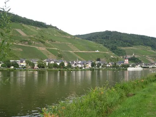 campingpark-zellmosel-zellkaimt-mosel-amznx