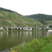 campingpark-zellmosel-zellkaimt-mosel-amznx