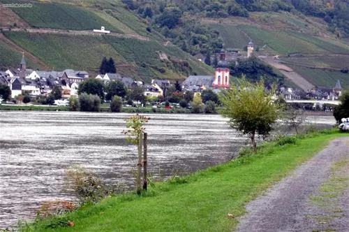 campingpark-zellmosel-zellkaimt-mosel-dqqg4