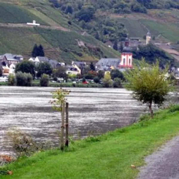 campingpark-zellmosel-zellkaimt-mosel-dqqg4