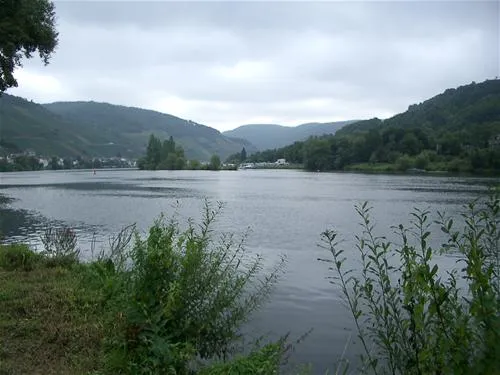 campingpark-zellmosel-zellkaimt-mosel-dr5f6