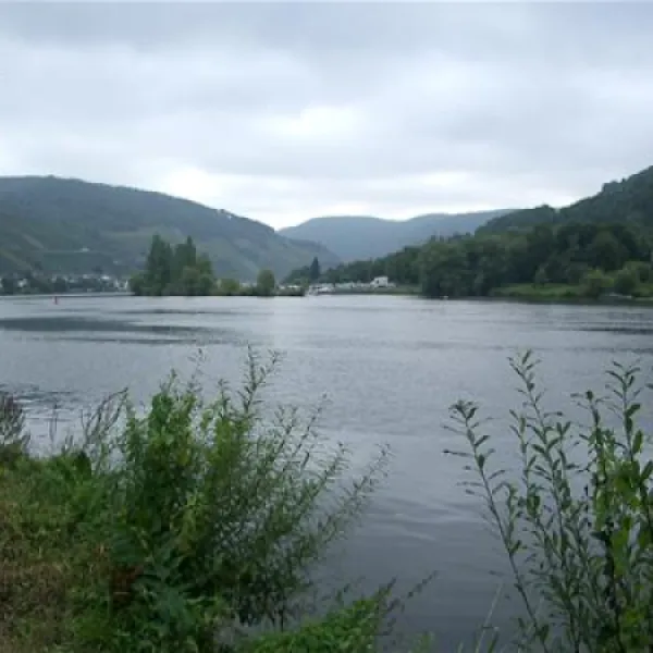 campingpark-zellmosel-zellkaimt-mosel-dr5f6