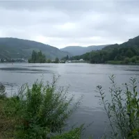 campingpark-zellmosel-zellkaimt-mosel-dr5f6