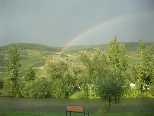 campingpark-zellmosel-zellkaimt-mosel-sbazd