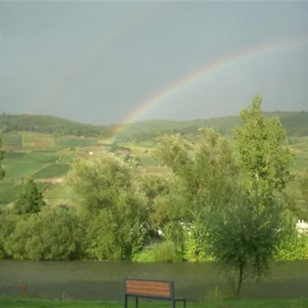 campingpark-zellmosel-zellkaimt-mosel-sbazd