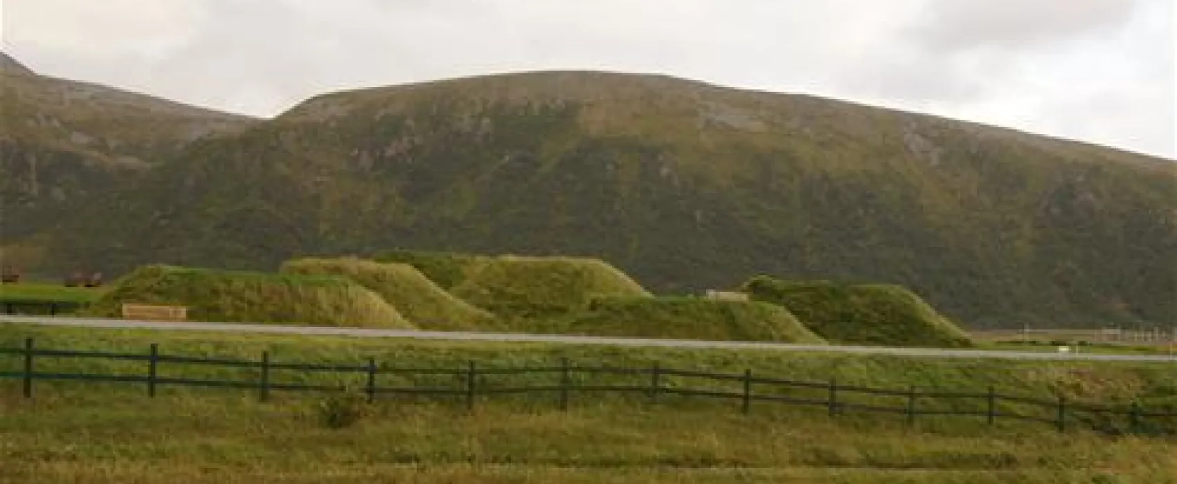 Stave Camping