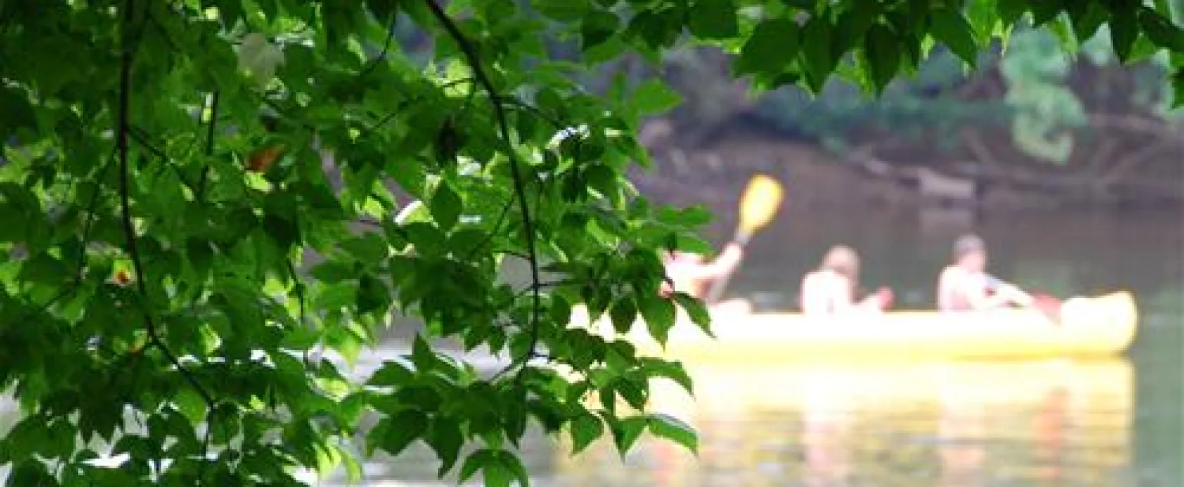 Flower Camping La Sagne