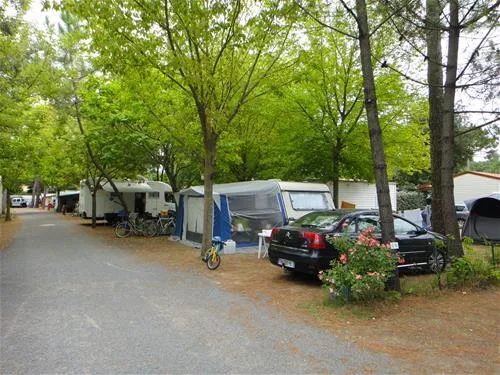 camping-activ-loisirs-les-pins-la-tremblade-r8kzz