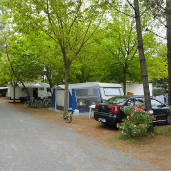 camping-activ-loisirs-les-pins-la-tremblade-r8kzz