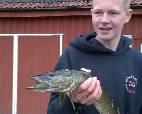 camping-djupdalen-ekshrad-y6o4t
