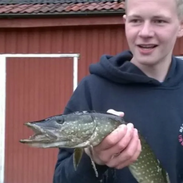 camping-djupdalen-ekshrad-y6o4t