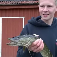 camping-djupdalen-ekshrad-y6o4t