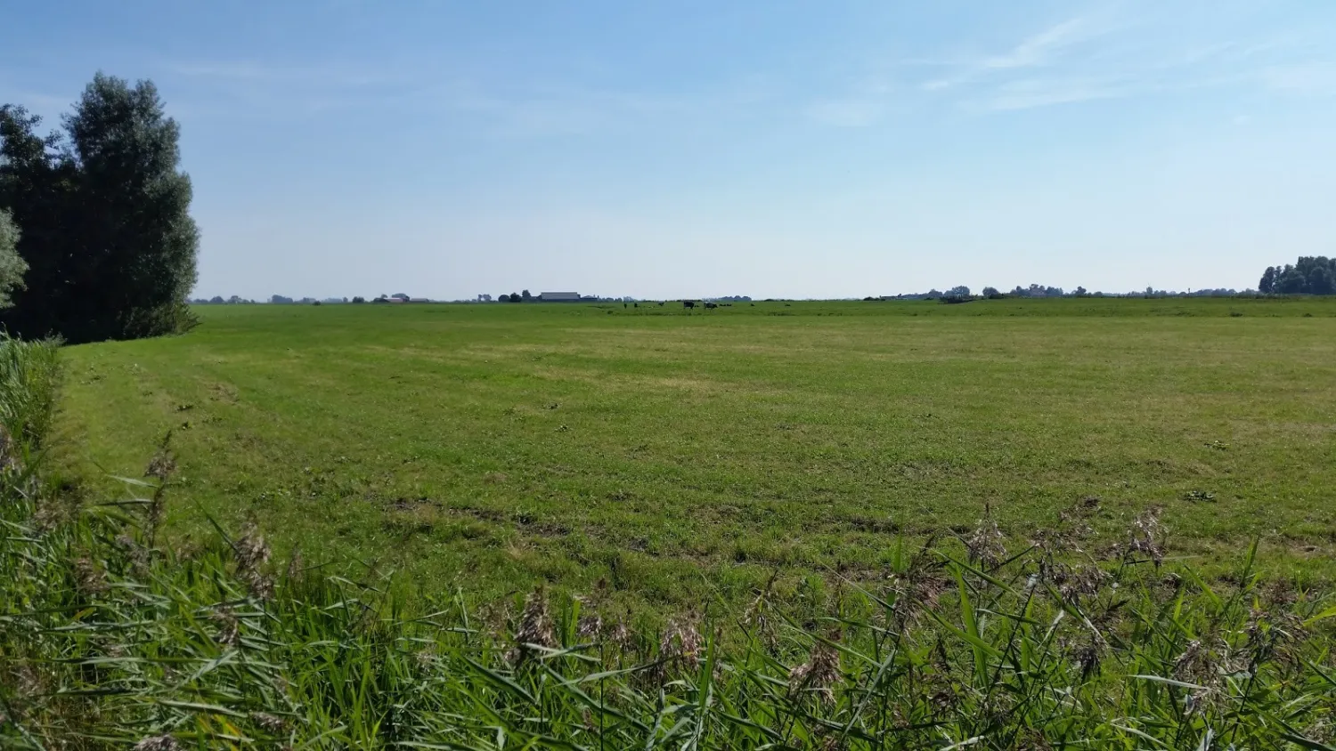 camping-de-buorkerij-dedgum-tfk1w