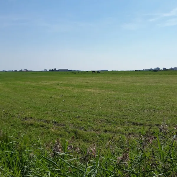 camping-de-buorkerij-dedgum-tfk1w