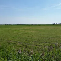 Camping De Buorkerij