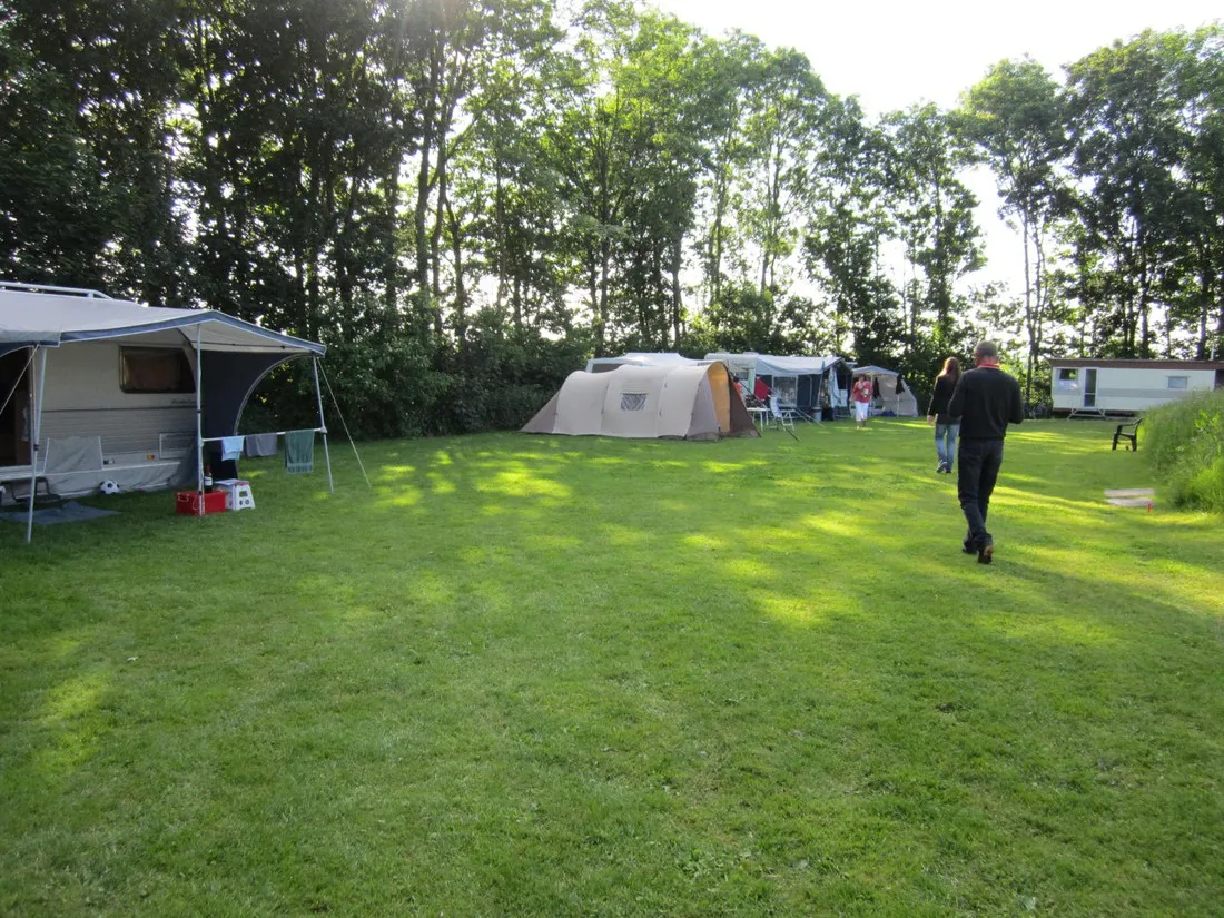recreatieboerderij-de-sternhof-zeewolde-7o5k0
