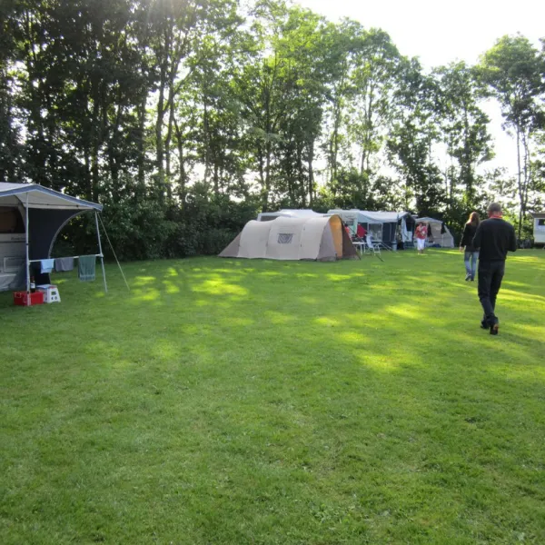 recreatieboerderij-de-sternhof-zeewolde-7o5k0