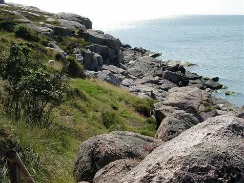 sandvig-familie-camping-allinge-mrozr
