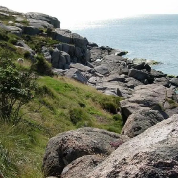 sandvig-familie-camping-allinge-mrozr
