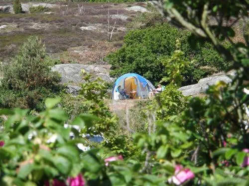 sandvig-familie-camping-allinge-offzc