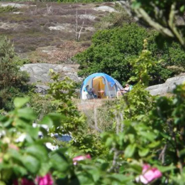 sandvig-familie-camping-allinge-offzc