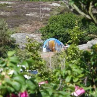 sandvig-familie-camping-allinge-offzc