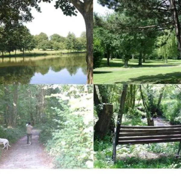 camping-du-domaine-du-lac-blangylechateau-mwoqz