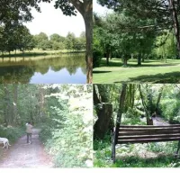 camping-du-domaine-du-lac-blangylechateau-mwoqz