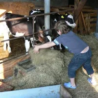 camping-hoeve-montigny-giethoorn-dq2ik
