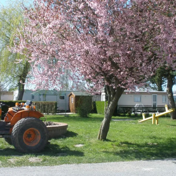camping-les-oiseaux-rue-7alma