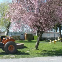 Camping Les Oiseaux
