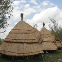 camping-natura-parc-chichis-0plfz