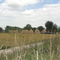 camping-natura-parc-chichis-4puvg