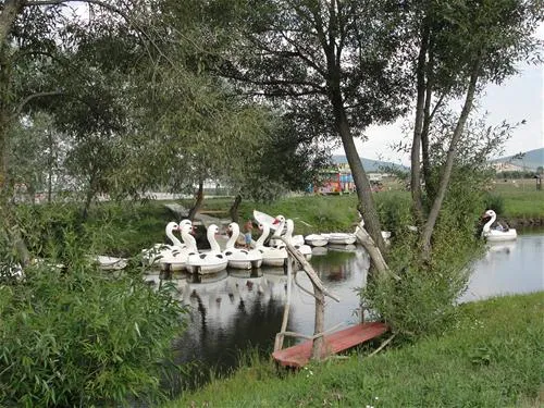 camping-natura-parc-chichis-5xquj
