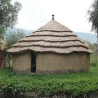 camping-natura-parc-chichis-g8h7p
