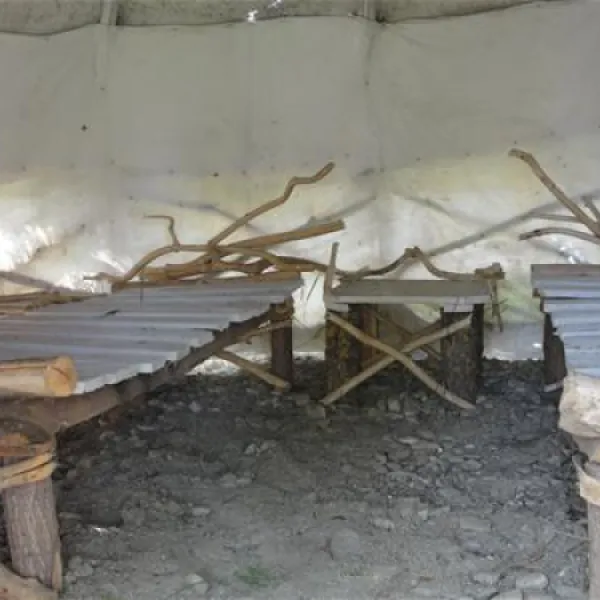 camping-natura-parc-chichis-on7d7