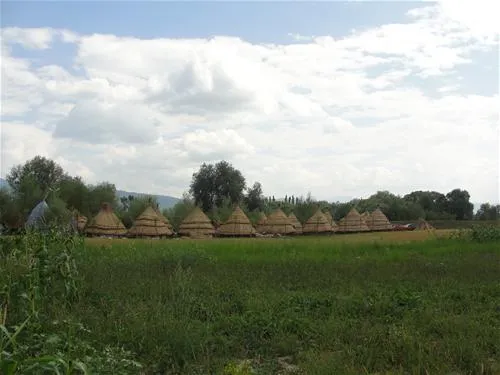 camping-natura-parc-chichis-yoipr