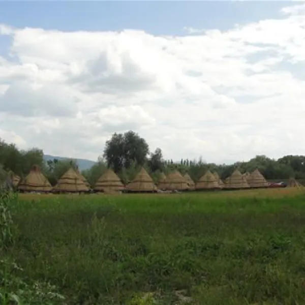 camping-natura-parc-chichis-yoipr