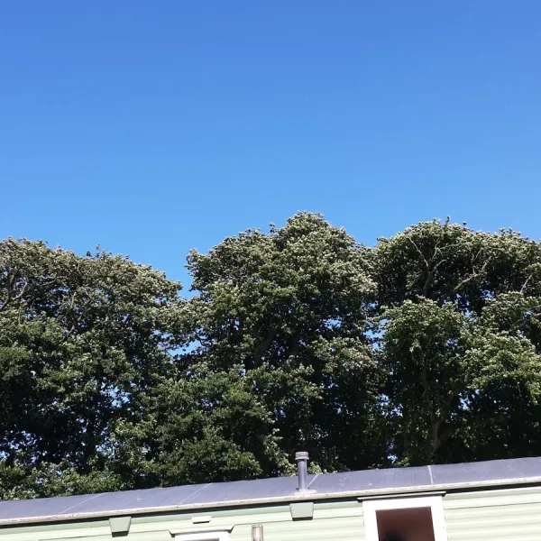 st-minver-holiday-park-wadebridge-qh3ax