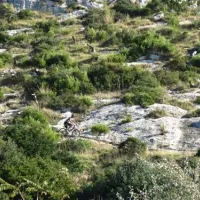 centro-turistico-san-nicola-peschici-rsghx