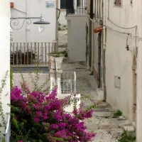 centro-turistico-san-nicola-peschici-uinuo
