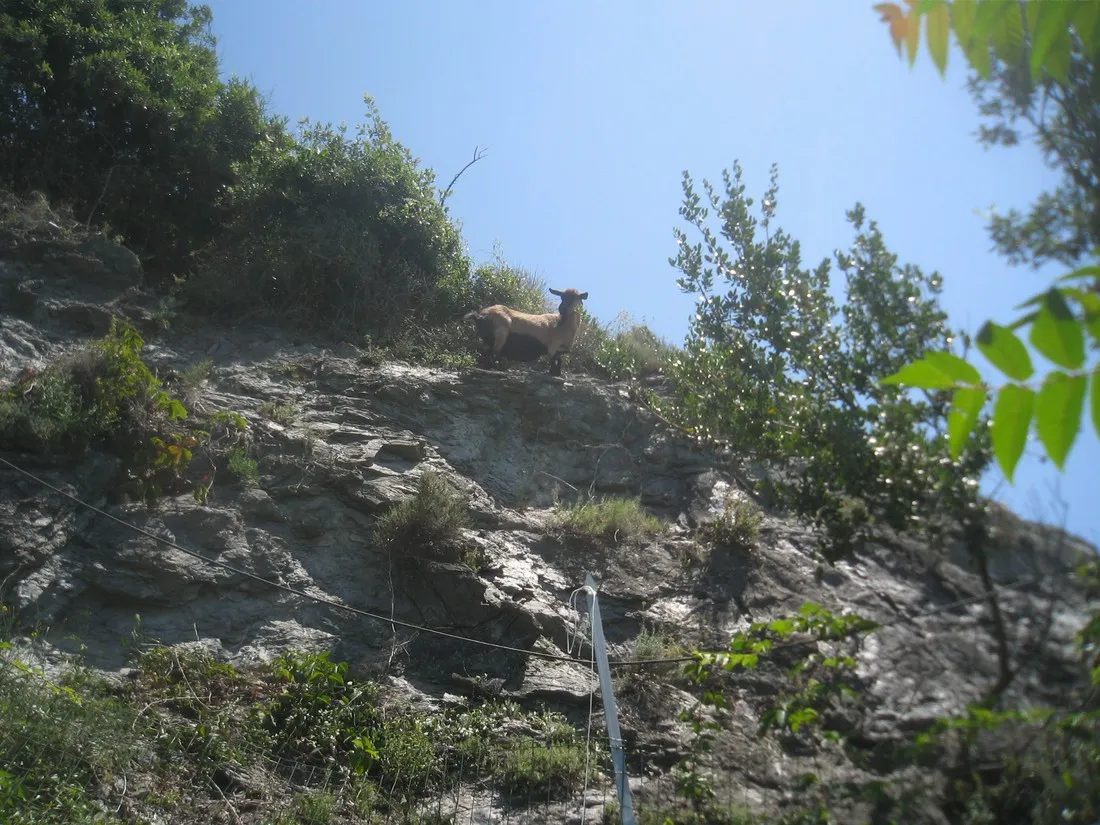 camping-il-rospo-moneglia-rtrqt