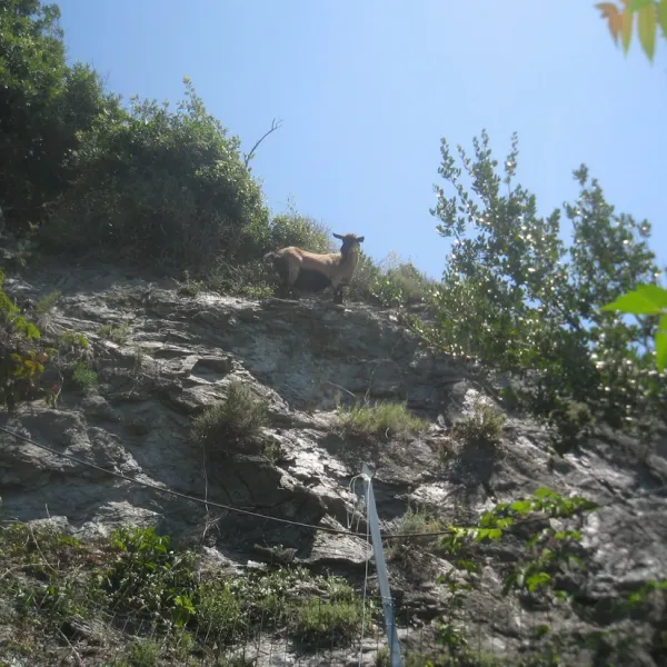 camping-il-rospo-moneglia-rtrqt